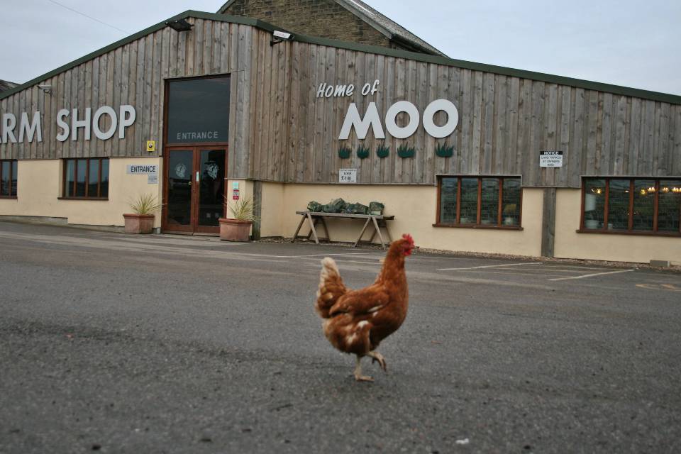 Yorkshire Farm Shops  13 of the best farm shops to visit in Yorkshire