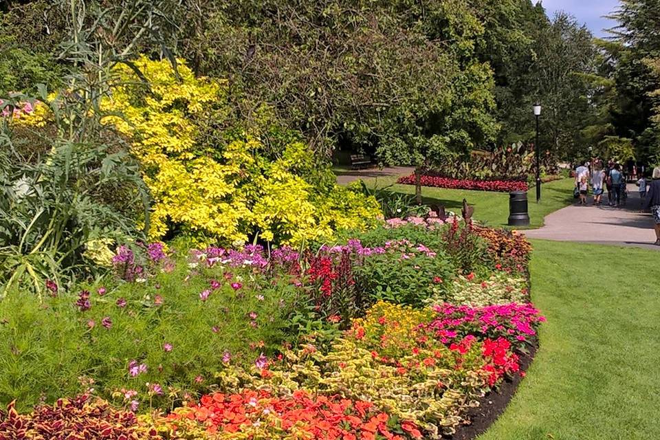 Valley Gardens Things to do in Harrogate