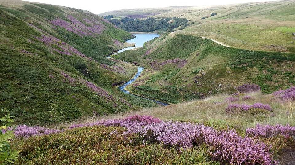 Marden Moor Estate Yorkshire Walks