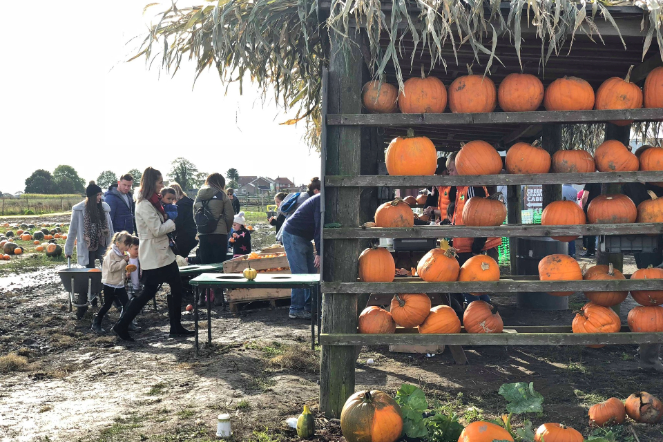 Half Term Activities October 2020 Yorkshire Food Guide