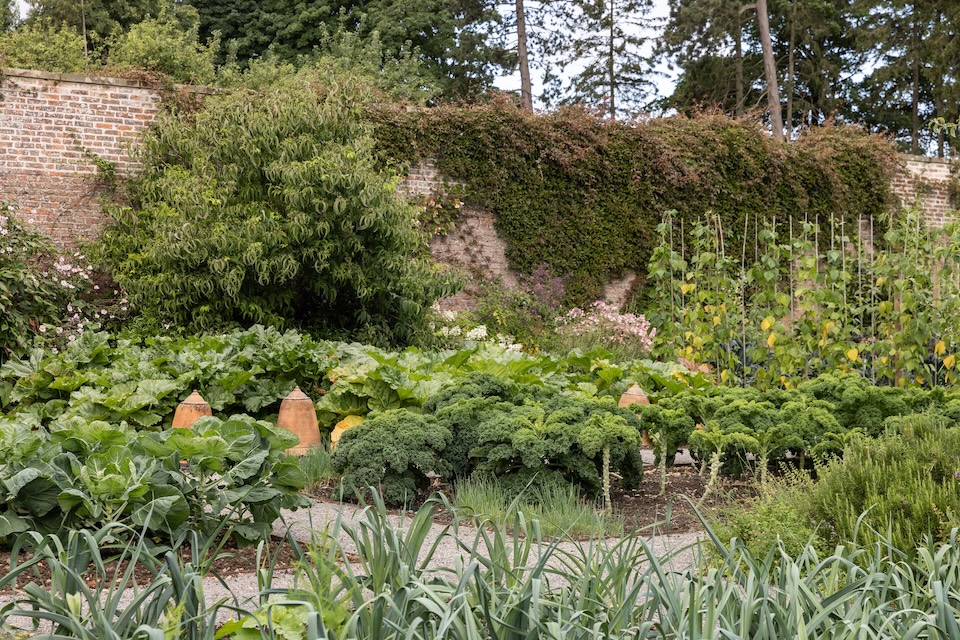 Kitchen Garden at Middleton Lodge