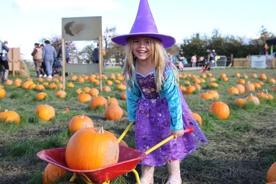 Cannon Hall Farm girl pumpkin picking