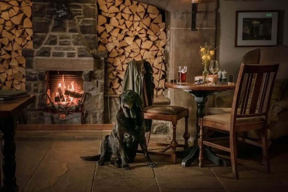 Lister Arms at Malham dog in front of fireplace - Dog-friendly pubs in Yorkshire